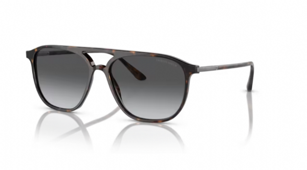 Giorgio Armani 8179 Havana/ Gradient Grey