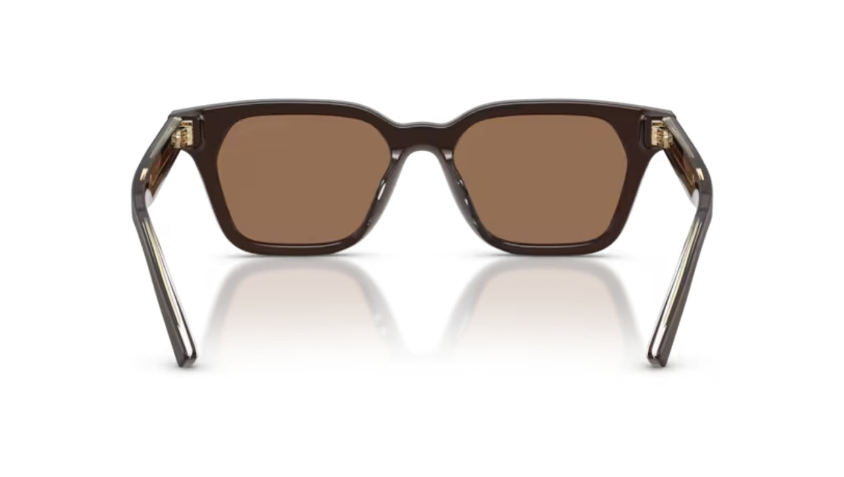 Giorgio-Armani-AR8251-Brushed-Brown-Dark-Brown-Achteraanzicht