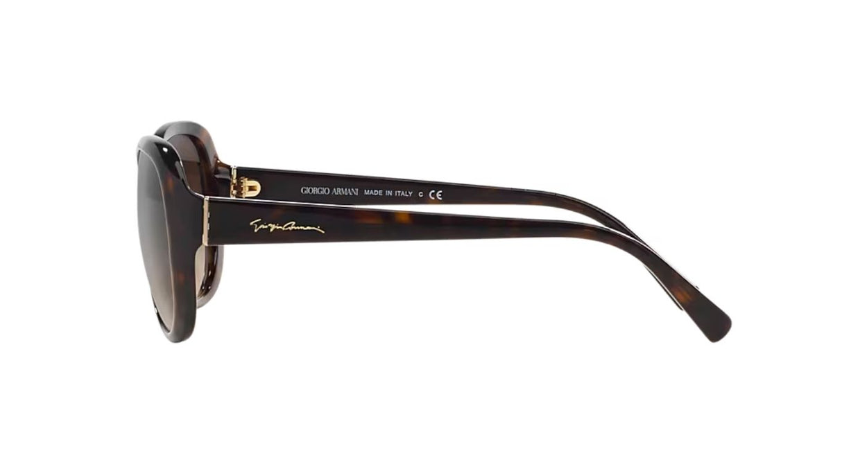 Giorgio Armani Havana/ Brown Gradient