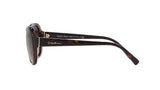 Giorgio Armani Havana/ Brown Gradient