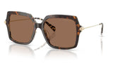 Michael-Kors-Quogue-Dark-Cream-Tortoise-Brown Solid