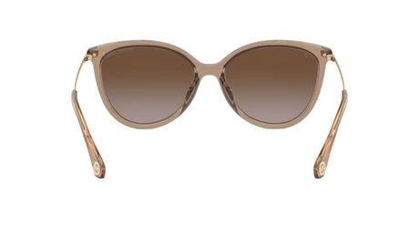 Michael kors dupont brown transparent dark brown polarized 
