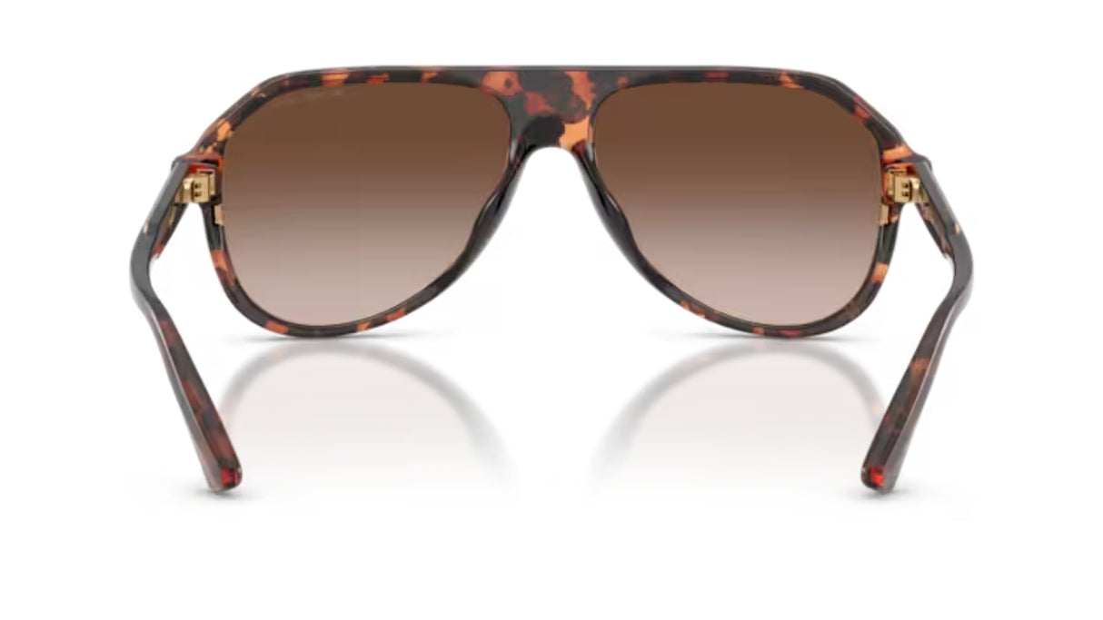Michael Kors Molokai Dark Tortoise/ Smoke Gradient