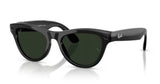 Ray-Ban Skyler Shiny Black/ Grafith Green Photochromic