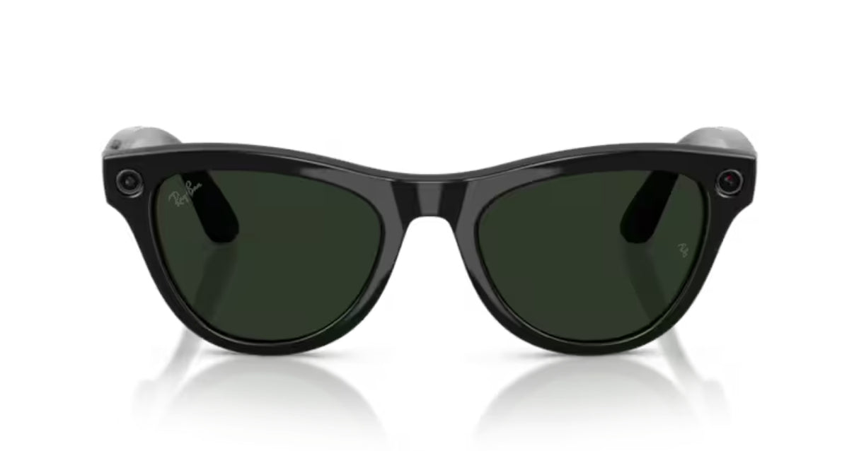Ray-Ban Skyler Shiny Black/ Grafith Green Photochromic