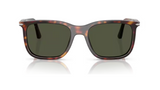 Persol Renzo Havana/ Green