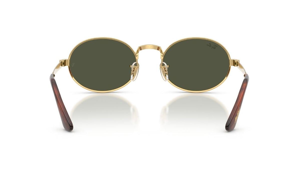 Ray-Ban-3931-BY-A_AP-ROCKY-Arista-Polar-Green-achterzijde