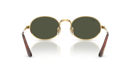 Ray-Ban-3931-BY-A_AP-ROCKY-Arista-Polar-Green-achterzijde