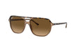 Ray-Ban-Bill-One-Havana-On-Transparent-Brown-Brown-Gradient-Polarized