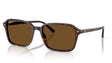 Ray-Ban-Raimond-Havana-Brown-Polarized