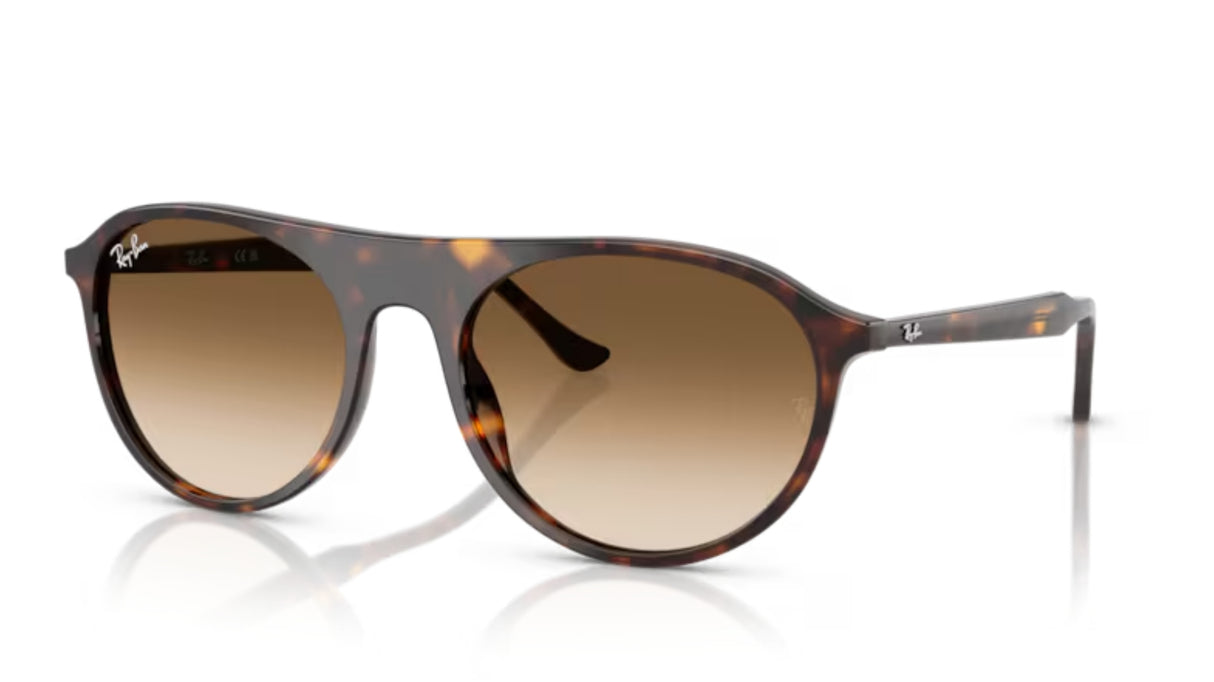 Ray-ban 2215 Havana/ Brown Gradient