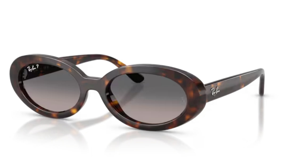 Ray-Ban 2223 Havana/ Grey Gradient Polarized