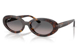 Ray-Ban 2223 Havana/ Grey Gradient Polarized