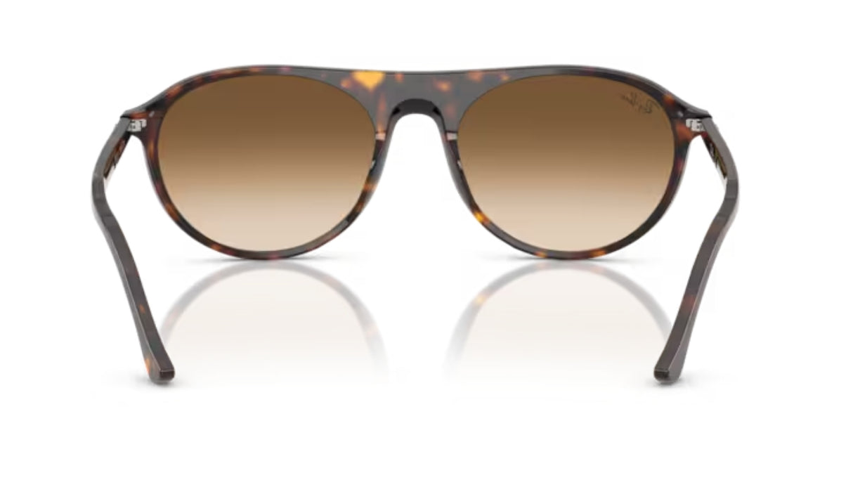 Ray-ban 2215 Havana/ Brown Gradient