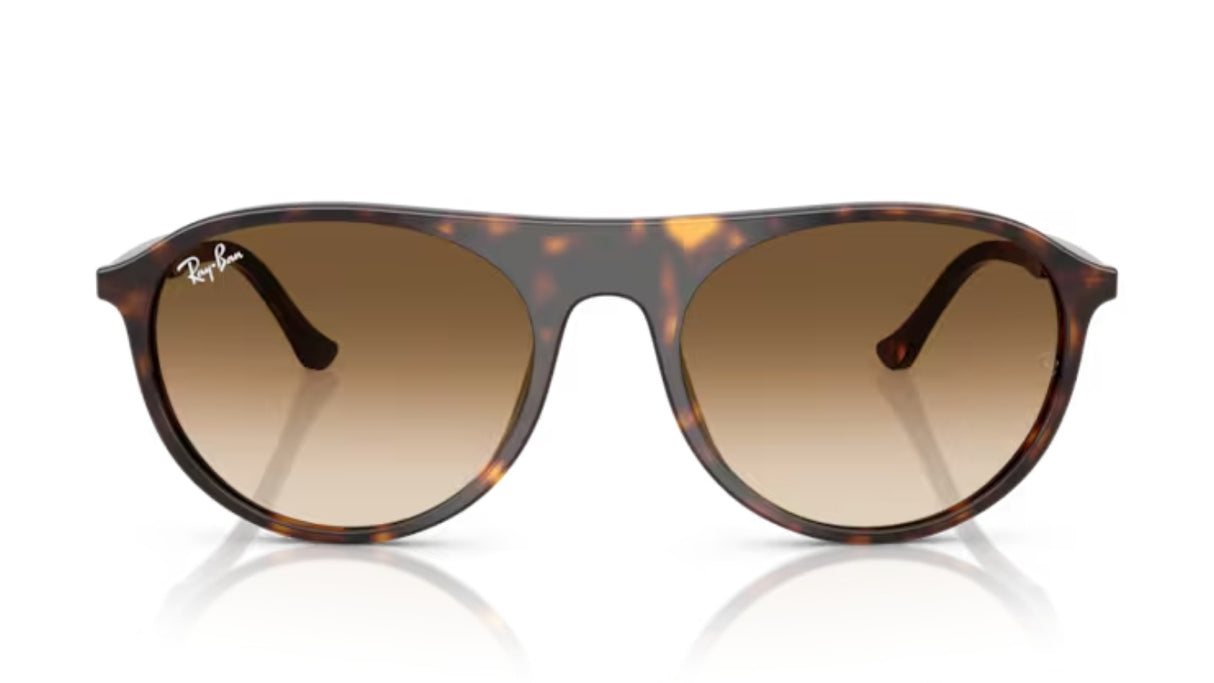 Ray-ban 2215 Havana/ Brown Gradient