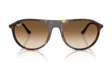 Ray-ban 2215 Havana/ Brown Gradient