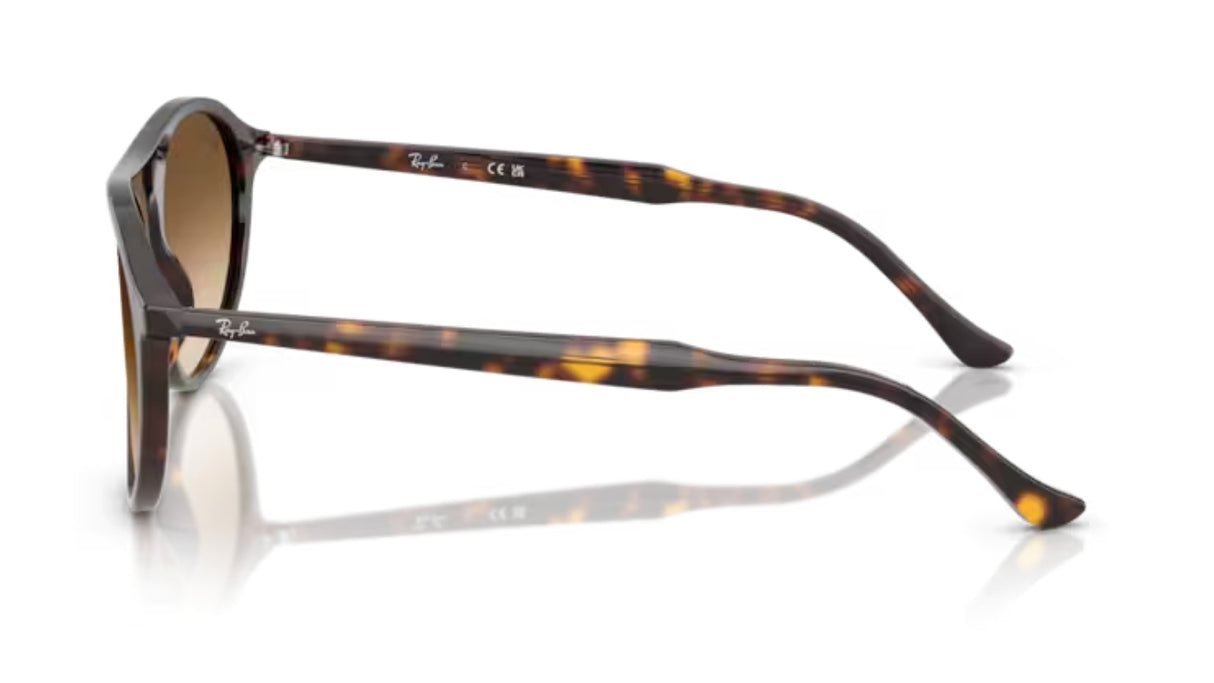 Ray-ban 2215 Havana/ Brown Gradient