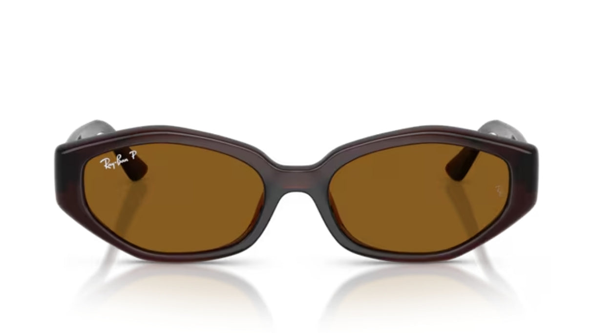 Ray-Ban 4473D Dark Brown/ Dark Brown Polarized