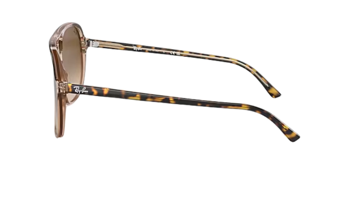 Ray-Ban Bill Havana On Transparent Brown/ Brown Gradient