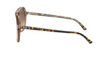 Ray-Ban Bill Havana On Transparent Brown/ Brown Gradient