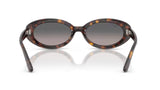Ray-Ban 2223 Havana/ Grey Gradient Polarized
