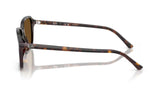 Ray-ban Raimond Havana Brown Polarized