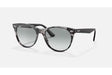 Ray-Ban Wayfarer II Grey Havana/ Photo Azure Gradient Blue