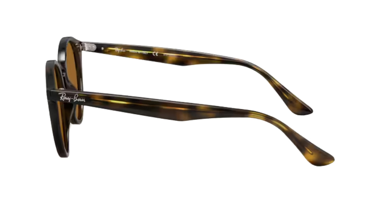 Ray-Ban 2180 Light Havana/ Brown Polarized