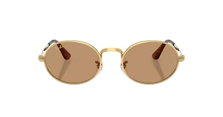 Ray-Ban-rb3931-arista-brown-02