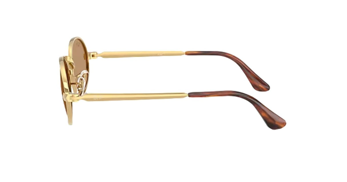 Ray-Ban-rb3931-arista-brown-03