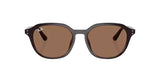 Ray-Ban-4459D-Opal-brown-dark-brown-02